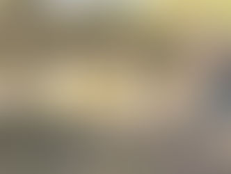 펜실베이니아주 주택에 스쿨 버스 돌진