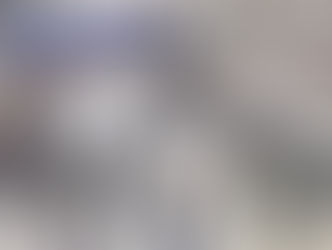 미 국내선 항공편에서도 ICE 이민 단속