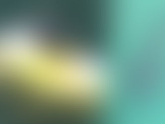 CA 남부 뉴포트비치서 대형 상어 출몰