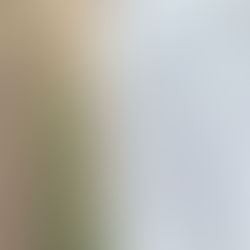 연방국세청, 2025 세금 보고 오늘부터 접수
