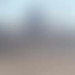 CA 최대 규모 이민 구금 시설..'의료 환경 열악'