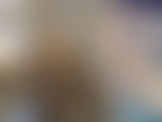 산불로 동물도 피해..개 · 올빼미 등 안전 이송