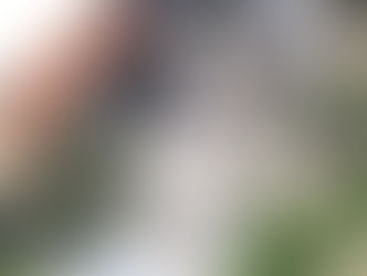“고급 주택가에 10년 쌓인 쓰레기 더미”..철거 시작