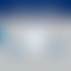 SBA 대출, 3월부터 시민권자만..영주권자 배제 