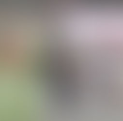 우메켄-마제스티 레이디스 골프대회 내일 '스타트'