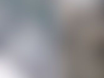 ICE, 무차별 이민 단속 중단..표적 단속 선회