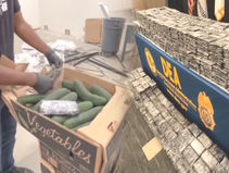 애틀랜타 농산물 시장 오이 박스에 7백 파운드 마약