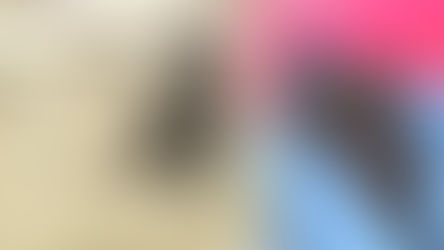 한인 밀집 풀러턴서 '광견병 감염' 박쥐 발견