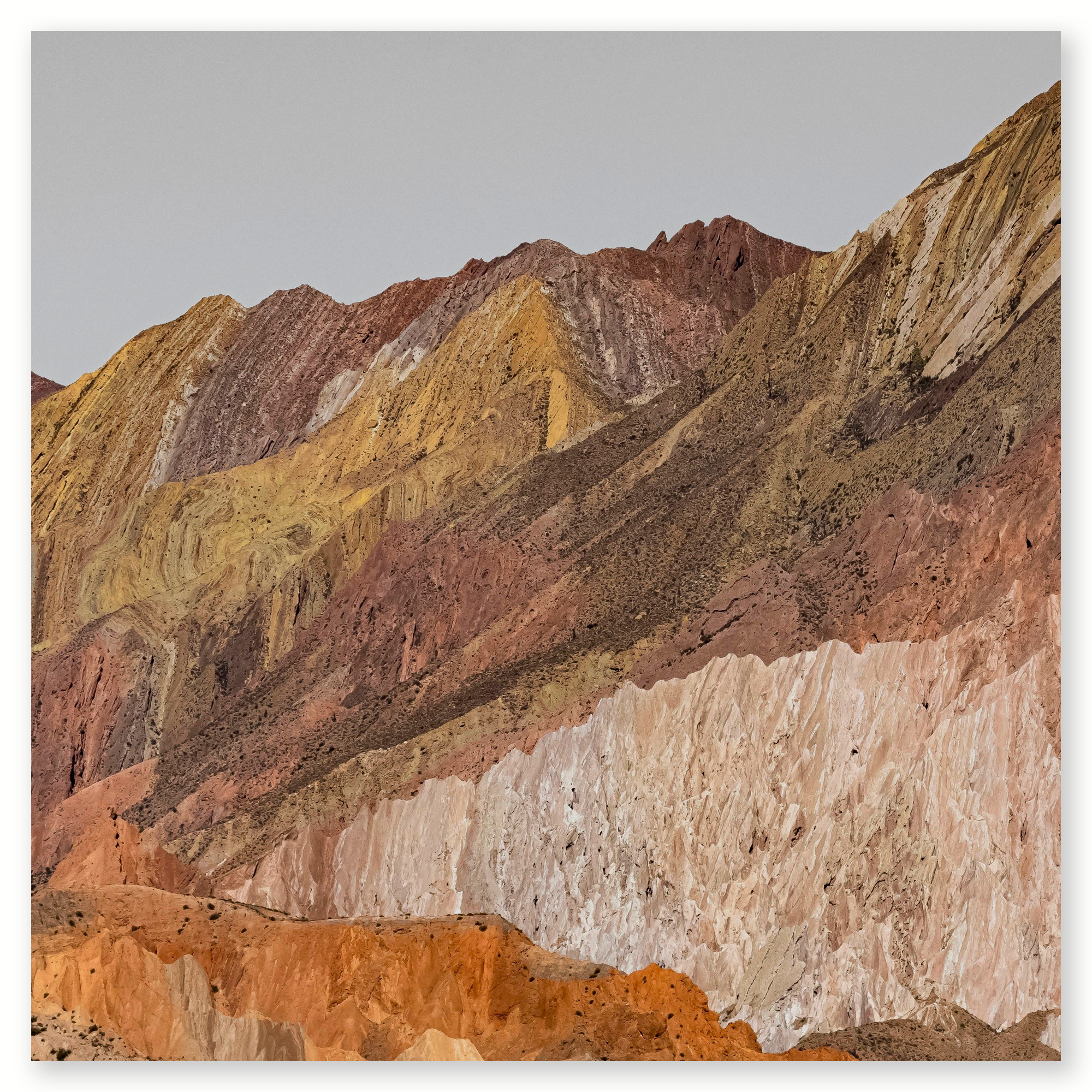 Los Cardones II