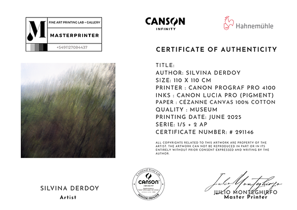 LUCIANO BACHI (3).png