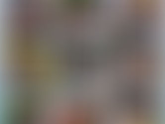 Passeio na feira do bairro