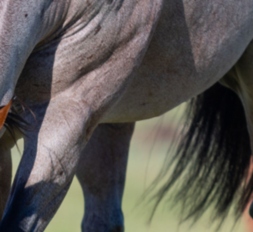 Flingin Jameson-35.jpg