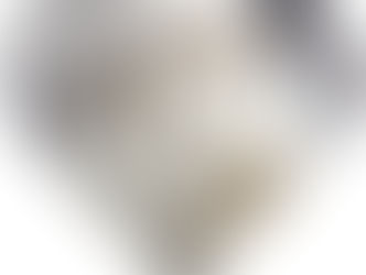 P U R E   B L E N D S