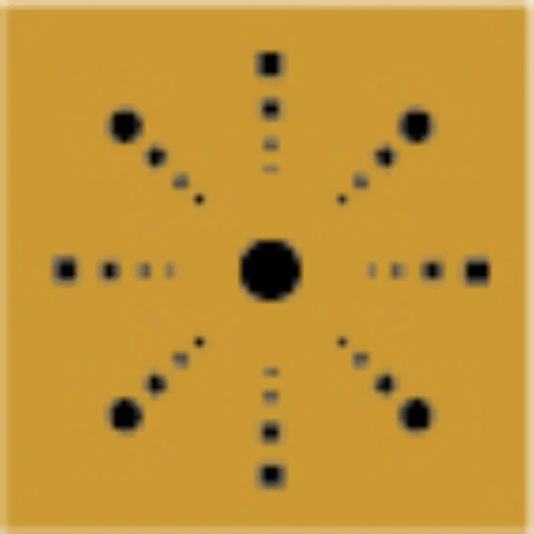 giphy.gif