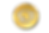 gold coins_edited.png