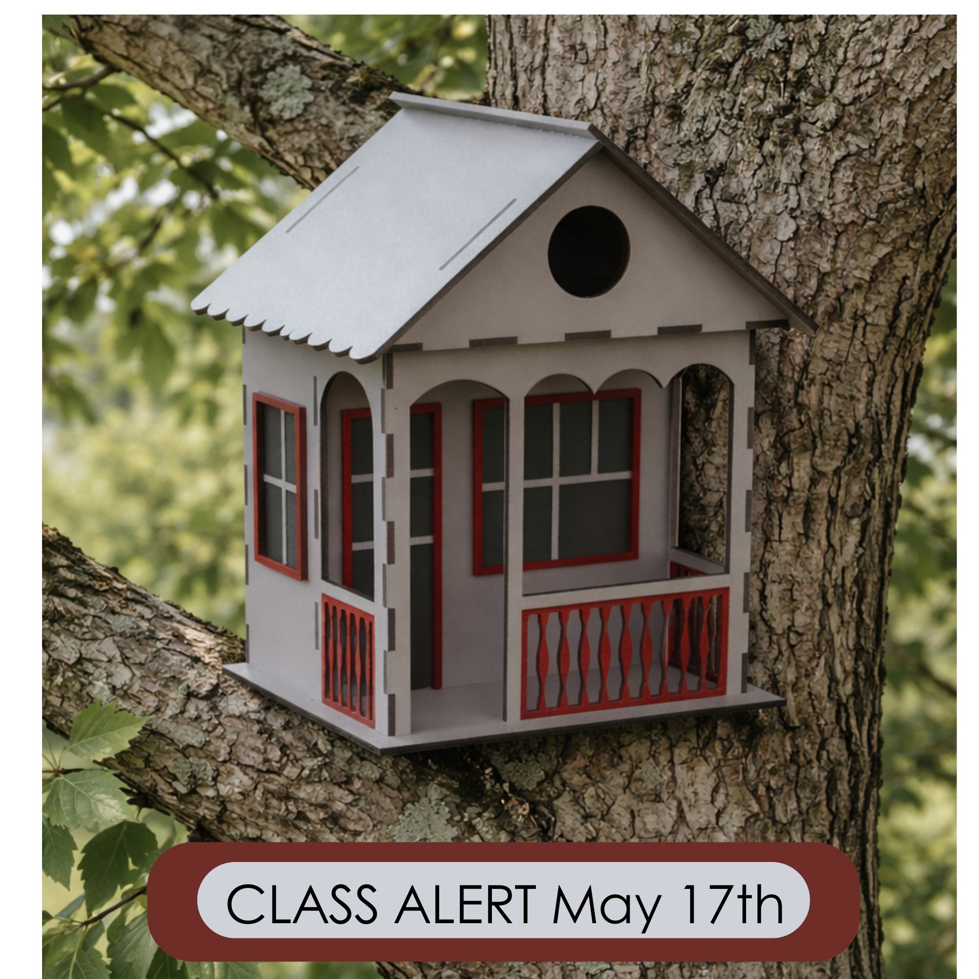 Bird House Class May 17th 11am