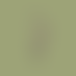 שֵׁנִי זָנִי - פקורינו