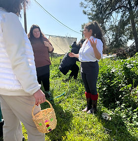 Winter Foraging & Pinot Noir