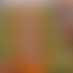 Gaya Pind Daan – Why Falgu River Is the Most Powerful Place for Ancestor Moksha