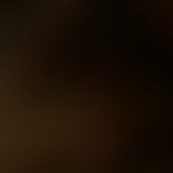 Amavasya November 2025 – Date, Significance, Rituals & Puja by MahaTarpan