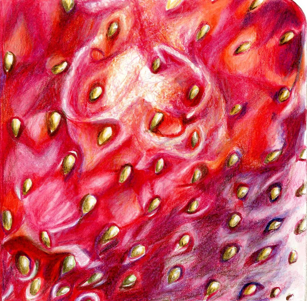 TROPICAL FRUIT STUDIES