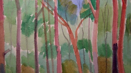 Weg zum Hotel Blaches Bornholm*