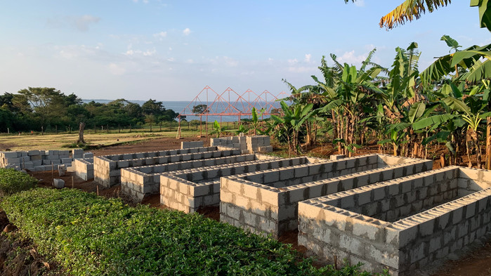 Garden Beds