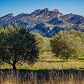 Alpilles1.jpg