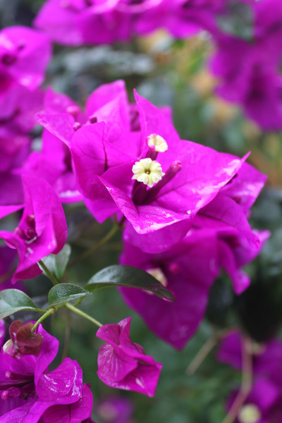 3E947C8E-B81D-4A5D-B1C4-C65EFBE06781.jpeg