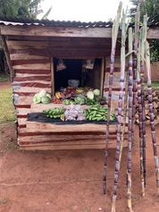 Veg Stand