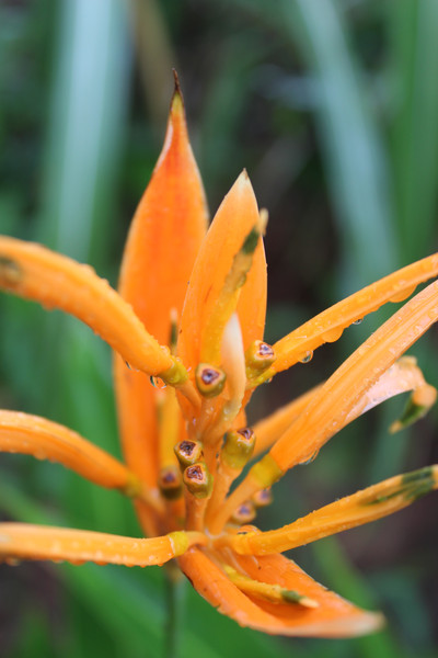 2E1117AB-FD6B-447D-AADE-45DD0ED7BF46.jpeg