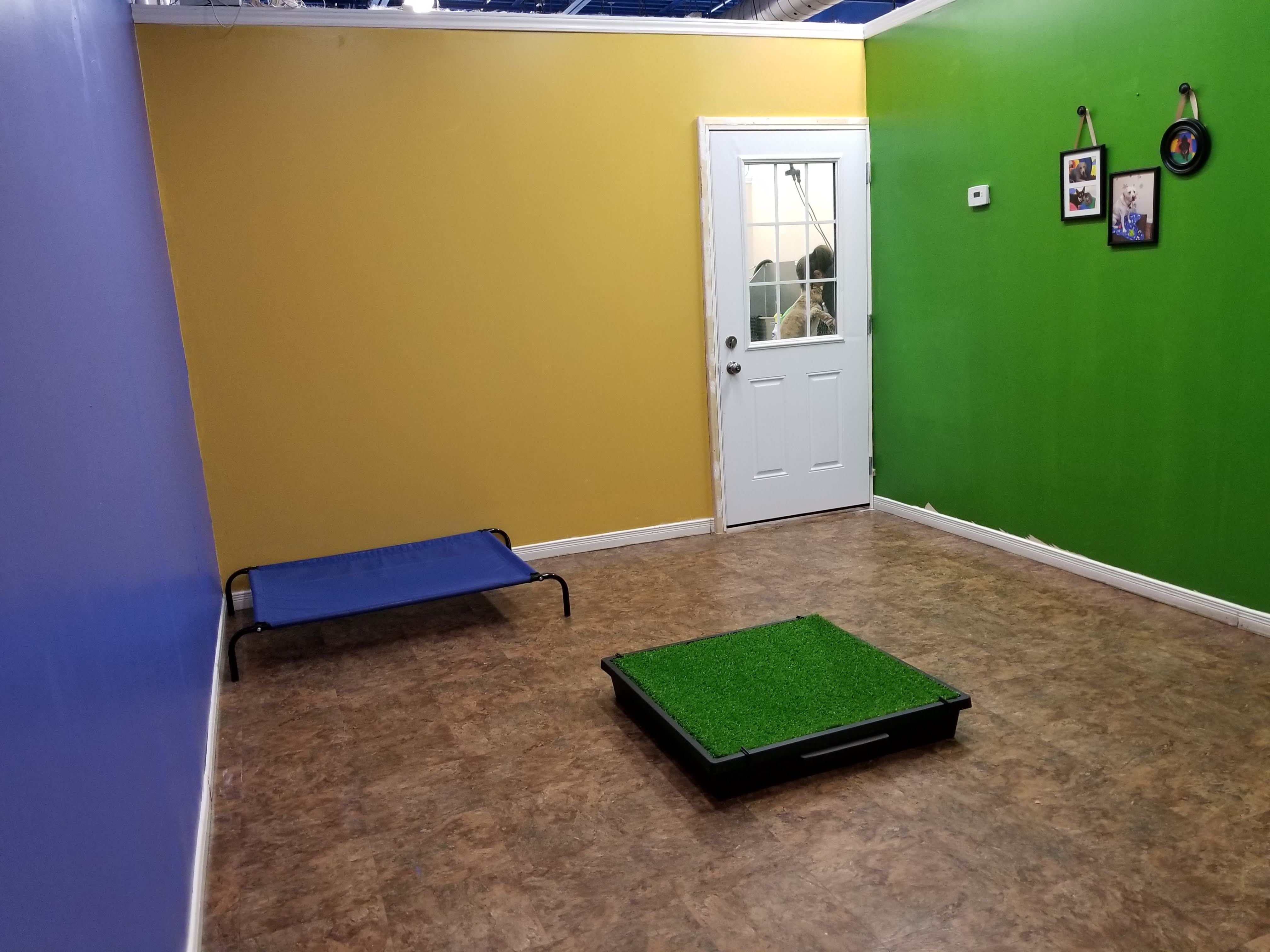 PetsCool Daycare