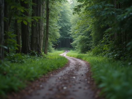 Discover Untold Perspectives About Life's Mysteries