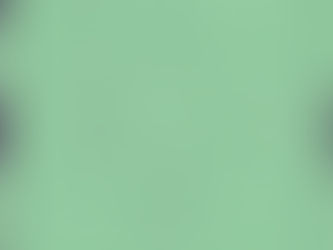 Mathematical Fallacies: When Logic Lies