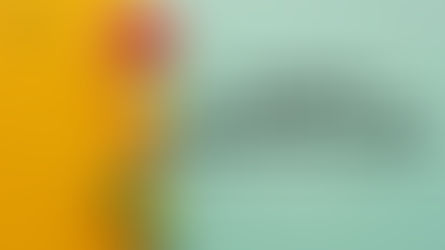 Living a Fruitful Life: Bearing the Fruit of the Spirit