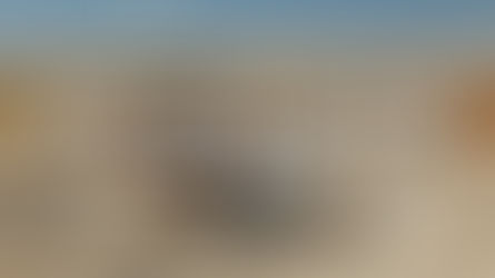 What Truly Sustains the Soul? Lessons from Jesus at the Well