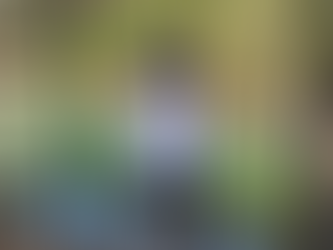 Thursday 10/27/2022 Daily Gym: Leg Workout