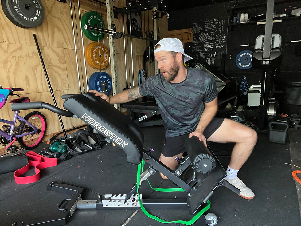 11 Reasons the NordBench Pro is the King of Budget Home Gym Gear (Replaces $2,400 in Equipment)