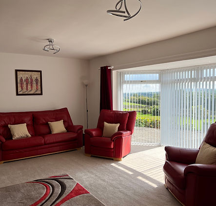 Hydee House wide screen Tv