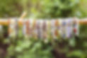 AdobeStock_361751061.jpeg