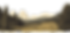 landscape1.png