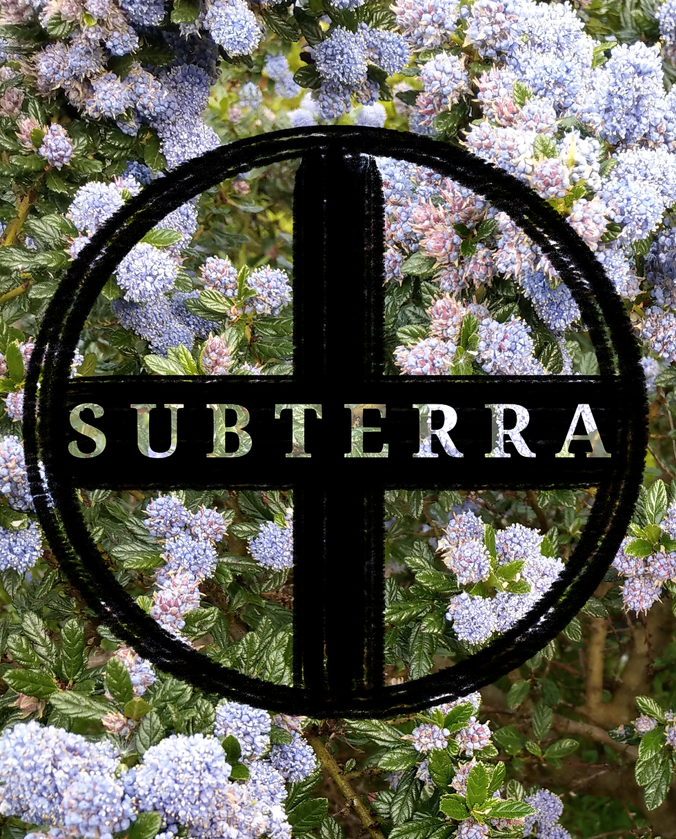 What is Subterra?