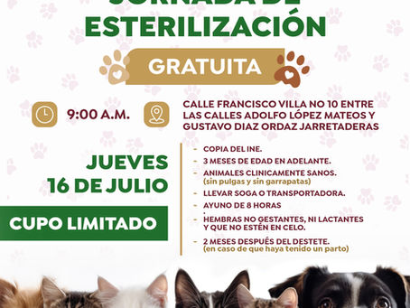 Gobierno de Bahía de Banderas impulsa el bienestar animal con jornada gratuita de esterilización