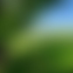 A view of Crown Hill Llantwit Fardre