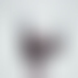 Stay Safe and Informed: Emergency Alerts System Now Available for Llantwit Fardre Residents