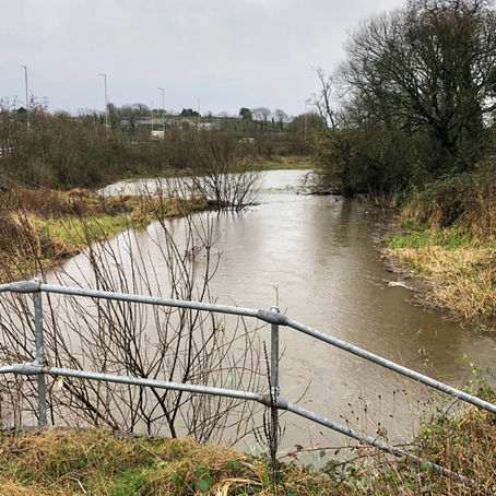 Ystrad Barwig Farm - Storm Dennis Flooding