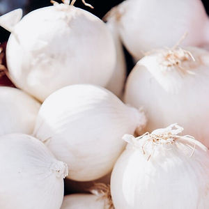 Oignon Blanc
