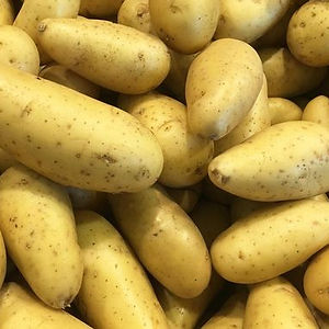 Pomme de terre Amandine