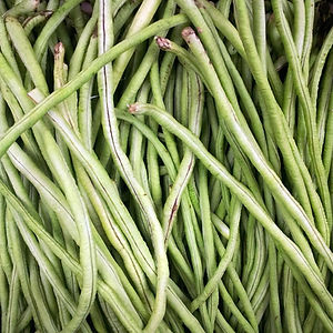 Haricot vert