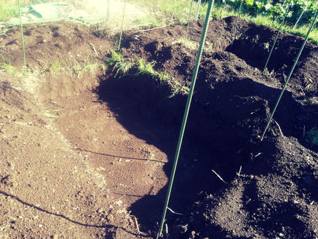 集中力を身に付けるという発想を捨てる。